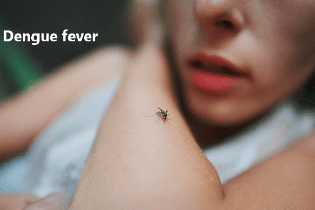 How to Recover From Dengue Fever